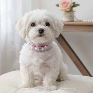 Hot Pink Bling Pet Collar Size M